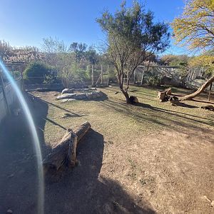 1st half to cheetah enclosure