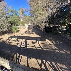 2nd half of cheetah enclosure