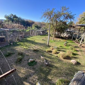 1st half of African leopard enclosure