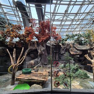 Asian Games Panda House