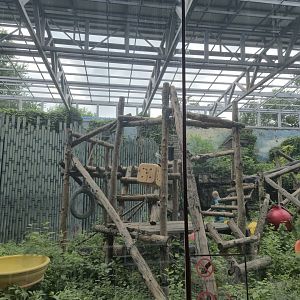 Olympic Games Panda House