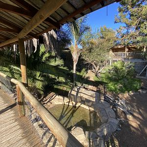 2nd half of African leopard enclosure