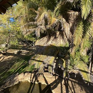 2nd half of white lion enclosure