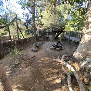 Bat-eared fox enclosure