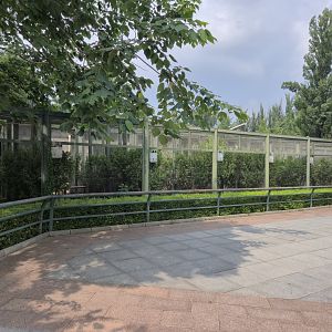 Row of Pheasant exhibits