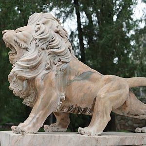 Lion Statue
