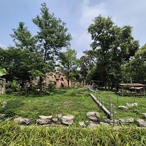 Chimpanzee/ Former Gorilla exhibit