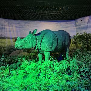 Indian Rhino, Educational building