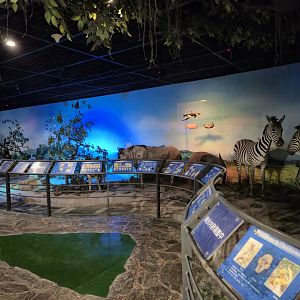 Educational building