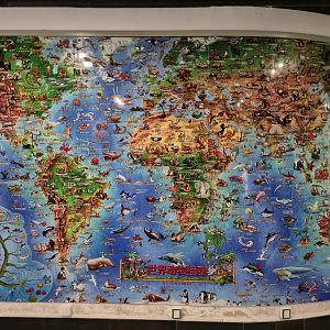 Animals around the World