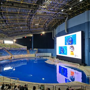 Dolphinarium