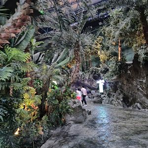 Amazon Walktrough exhibit,  Oceanarium