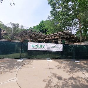 Snow Leopard Exhibit Construction