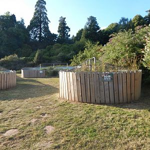 Outdoor Reptile habitats 020825