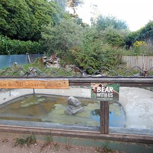 Former Asian small-clawed otter enclosure 020825