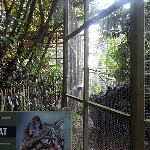 Scottish wildcat enclosure 020825