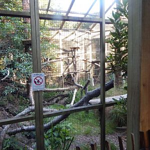 Scottish wildcat enclosure 020825