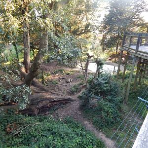 European brown bear enclosure 020825