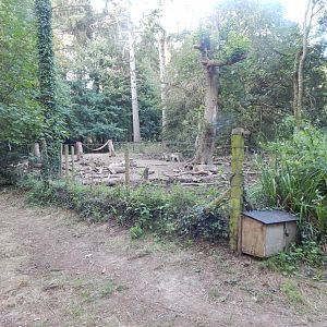 Central European wild boar enclosure 020825