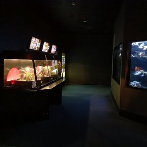 General view  - Bioparc Acuario de Gijón