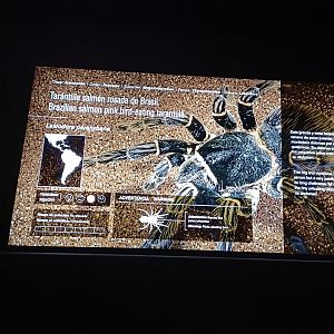 Sign - Bioparc Acuario de Gijón