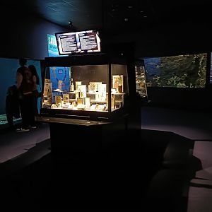 General view - Bioparc Acuario de Gijón