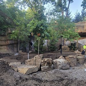 Aug. 2025 - Black Bear Ridge Construction Update - Upper Bear Viewing Area