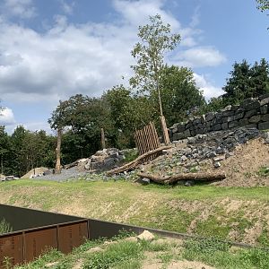 New Golden Takin enclosure