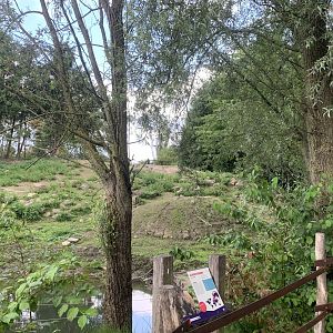 Alpine Ibex enclosure