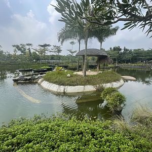 greater flamingo pond - aviary park