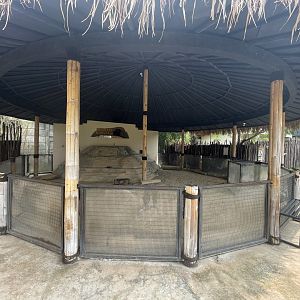 meerkat exhibit - aviary park