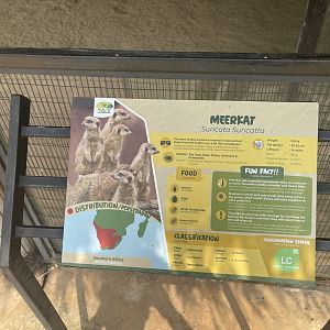 meerkat signage - aviary park