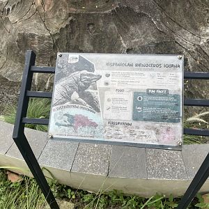rhinoceros iguana signage - aviary park