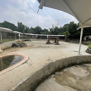 tortoise exhibit - aviary park