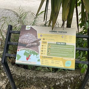 african spurred tortoise signage - aviary park