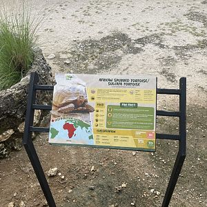 leopard tortoise signage - aviary park