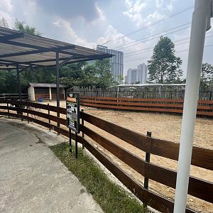 donkey exhibit - aviary park