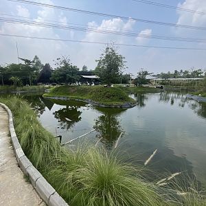 pelican & duck pond - aviary park