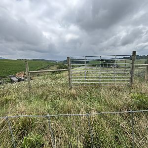 Fort Chiswell Animal Park- Aoudad exhibit