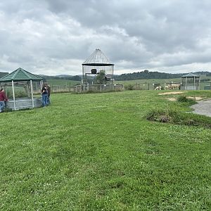 Fort Chiswell Animal Park- Main area