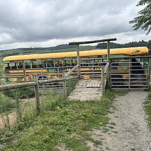 Fort Chiswell Animal Park- Safari Bus