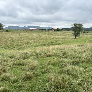 Fort Chiswell Animal Park- “The Outback”