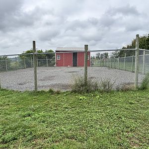 Fort Chiswell Animal Park- Blackbuck exhibit