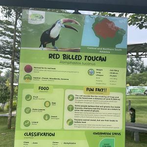 bird show - red-billed toucan signage - aviary park