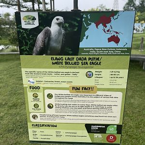 bird show - white-bellied sea eagle signage - aviary park
