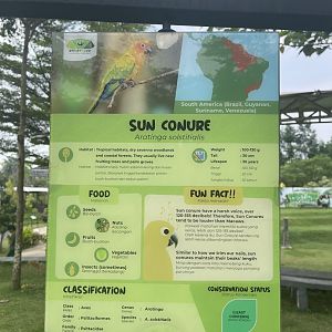 bird show - sun conure signage - aviary park