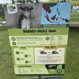 bird show - barred-eagle owl signage - aviary park