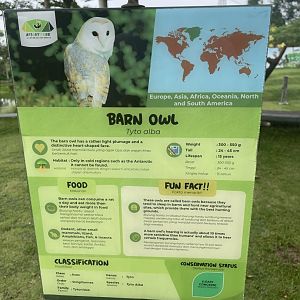 bird show - barn owl signage - aviary park