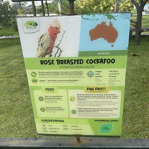 bird show - rose-breasted cockatoo signage - aviary park