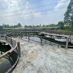fishing pond - aviary park